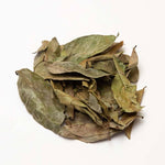 Soursop Leaves - [Anti-Cancer][Immunity][Blood Sugar Support]