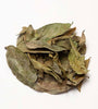 Soursop Leaves - [Anti-Cancer][Immunity][Blood Sugar Support]