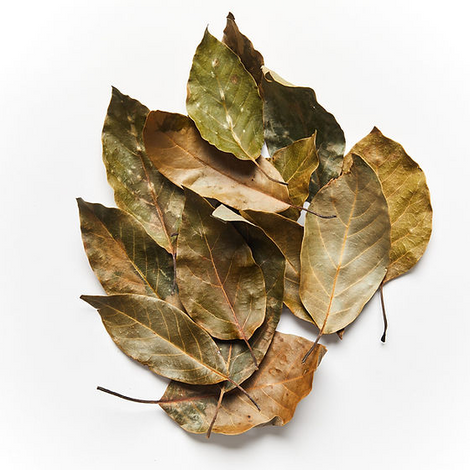 Avocado Leaves - [Kidney Support][Blood Pressure][Blood Sugar]