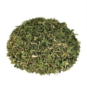 Jamaican Dog Blood (Rivina humilis) - Reproductive Health