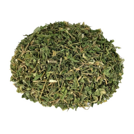 Jamaican Dog Blood (Rivina humilis) - Reproductive Health