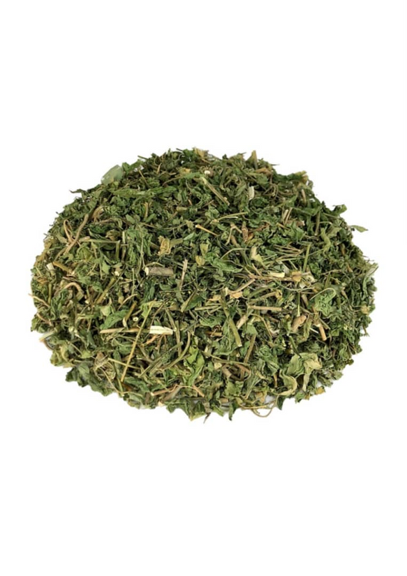 Jamaican Dog Blood (Rivina humilis) - Reproductive Health