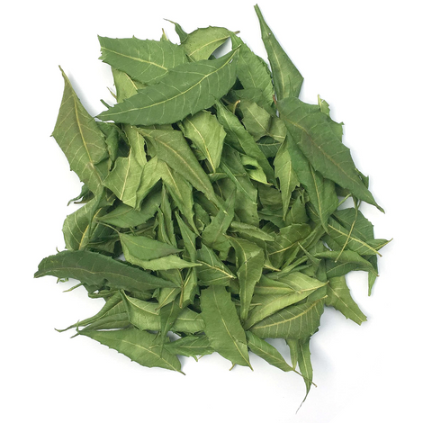 Neem Leaves - [Skin Health][Oral Health][Blood Cleanser]