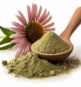 Echinacea Purpurea Powder - Immunity Support | Wound Healing