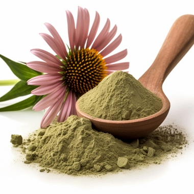 Echinacea Purpurea Powder - Immunity Support | Wound Healing
