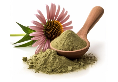 Echinacea Purpurea Powder - Immunity Support | Wound Healing