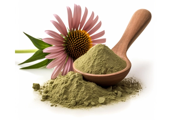 Echinacea Purpurea Powder - Immunity Support | Wound Healing